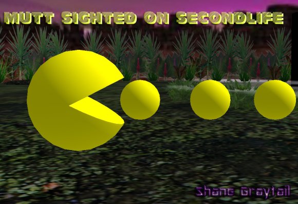 Shane_Graytail-SLMutt