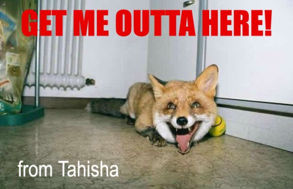 Tahisha-caption_1