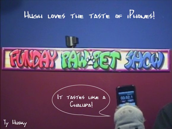 Ty_Husky-hugh-iphone-chalupa