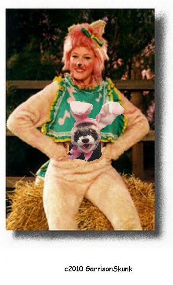 Anonymous-ferret_roo