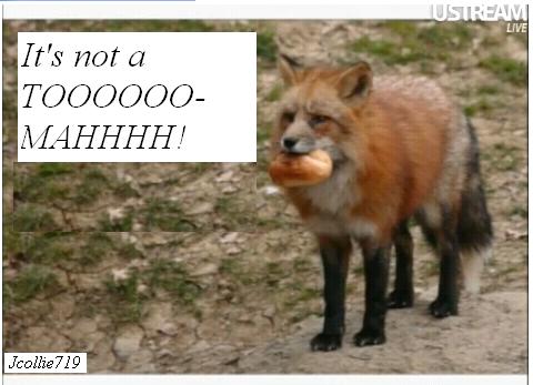 Jcollie719-FoxToomah