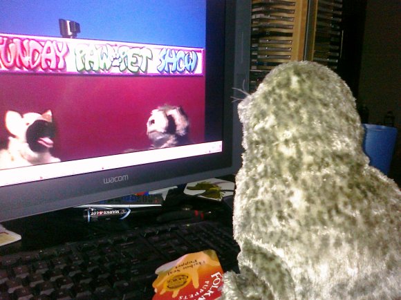 Snapai-seal_watching_show