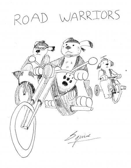 Squire-pawpet_road_warriors