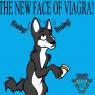 WolfWithFangsOfWhite-GOFViagra