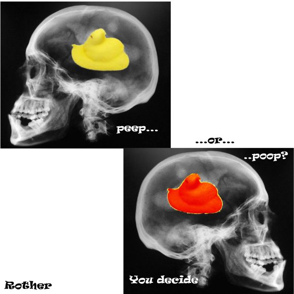 rother-peep_or_poop