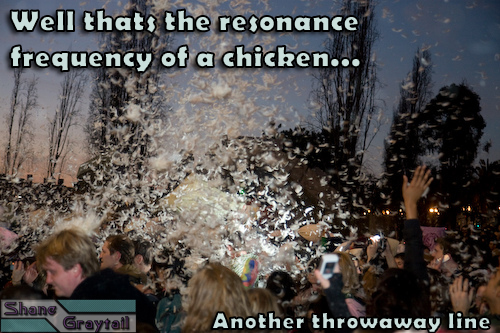 Shane_Graytail-BawkPOP