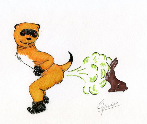 Squire-Poinks_blowout