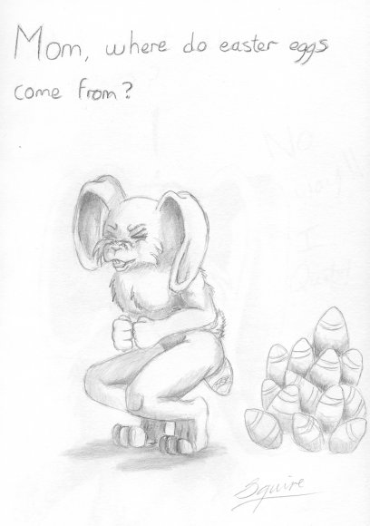 Squire-where_do_eggs_come_from_1