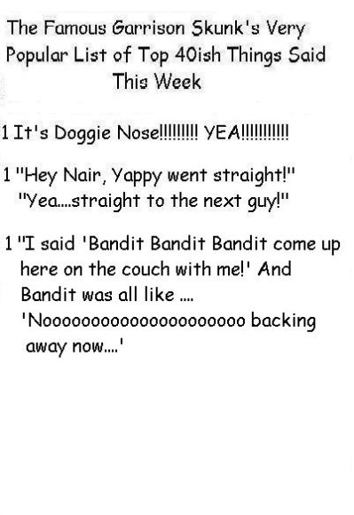 Anonymous-Anonymous-Skunk_Quotes_09