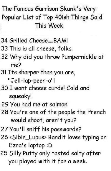 Anonymous-Anonymous-Anonymous-Skunk_Quotes_03