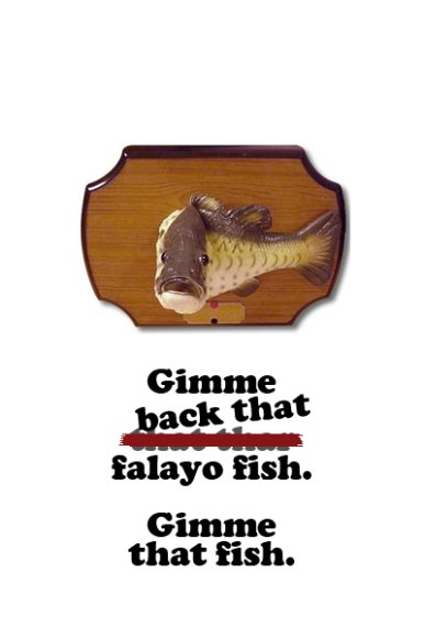 Anonymous-falayofish_correction