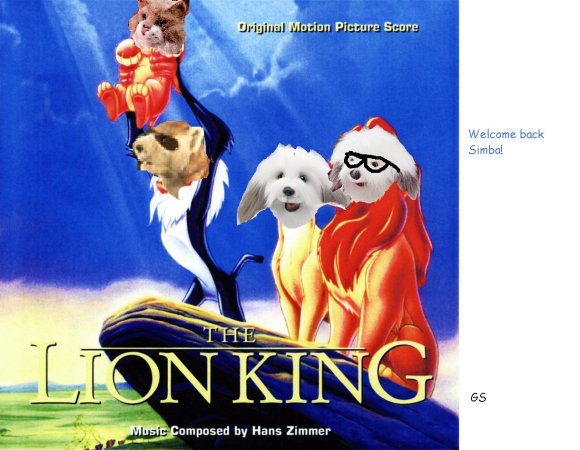 Anonymous-thelionking