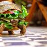 Anonymous-turtle-burger