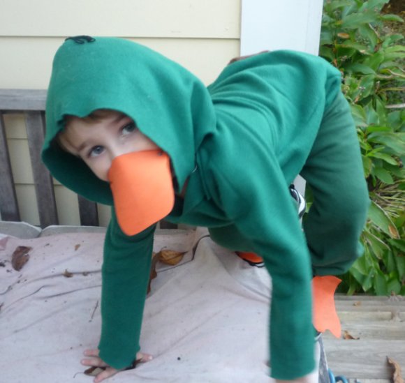 Perry-perrytheplatsuit