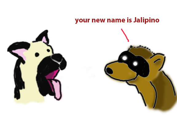 QSledge-your_name_is_jalipino