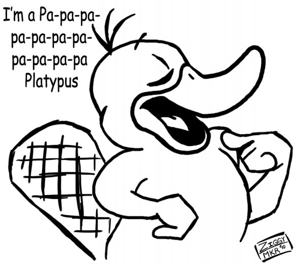 Ziggy-Funday_ImAPlatypus