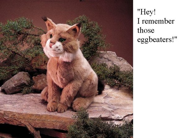 Anonymous-bobcat2199