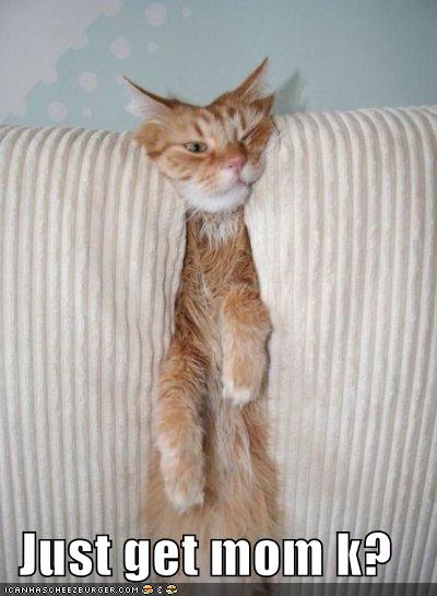 Anonymous-justgetmomk128565593352281885