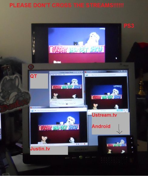 Dantee-Pawpet-streams