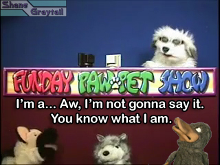 Shane_Graytail-PPPPlat