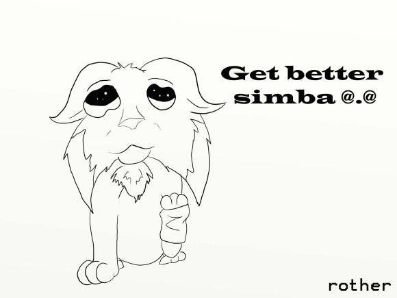rother-get_better_simba_copy