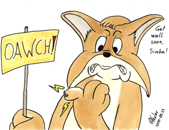 Atkelar-Atkelar-GetWellSimba