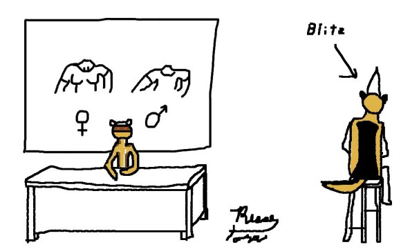 Reese_Tora-dunceBlitz