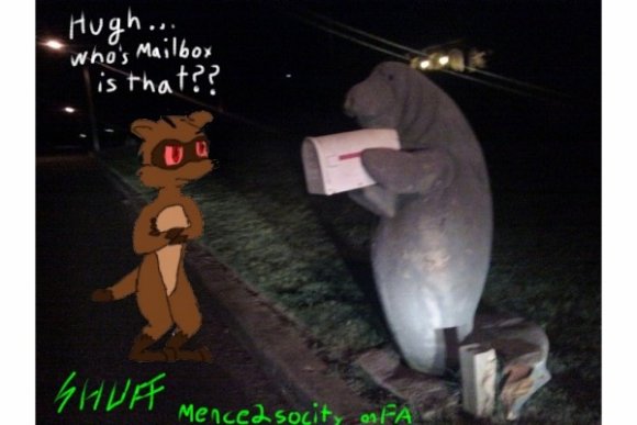 Shuff_Wolfcoon-Picture