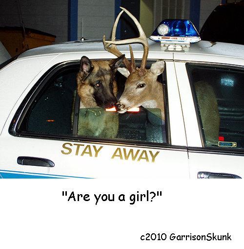 Anonymous-Blitz_copcar