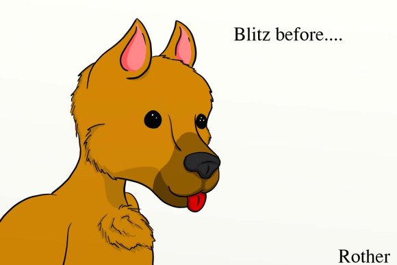 rother-blitz_sponsor_1