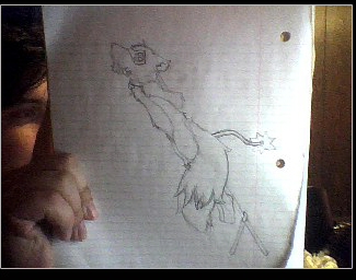 D_Wulfweards-poinkrockets