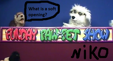 Niko-Poinksoftopening