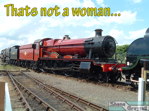 Shane_Graytail-NotAWoman