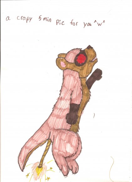 devyn-pawpet_show_001