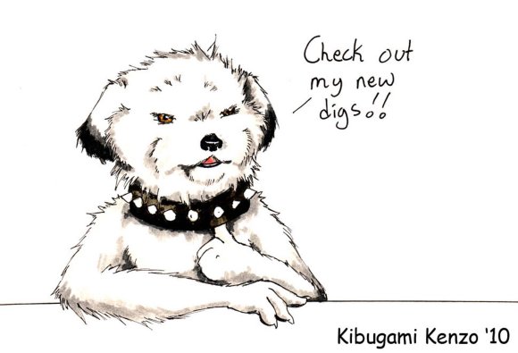 kenzo-mutts_new_collar2