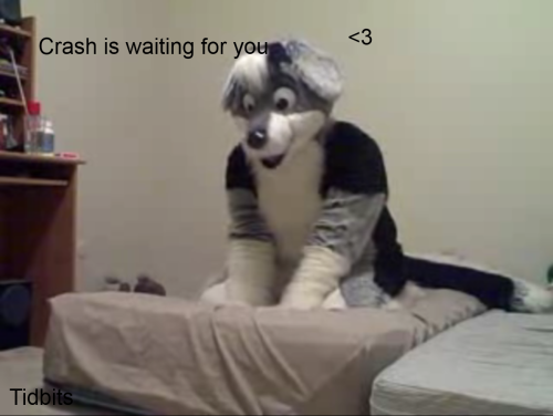 Tidbits-CrashLove