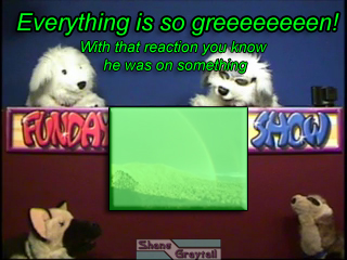 Shane_Graytail-GTrainbows