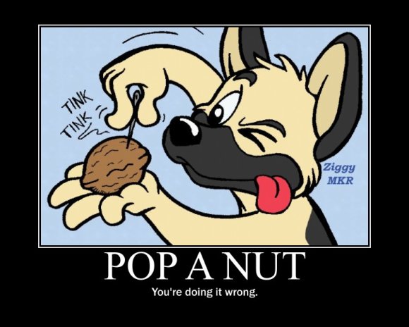 Ziggy-Funday_popAnut