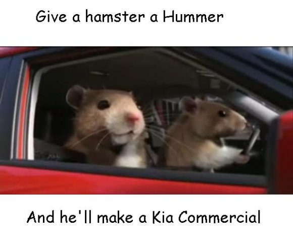 Kia_Soul_Hamsters