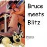 Anonymous-bruce_meets_blitz