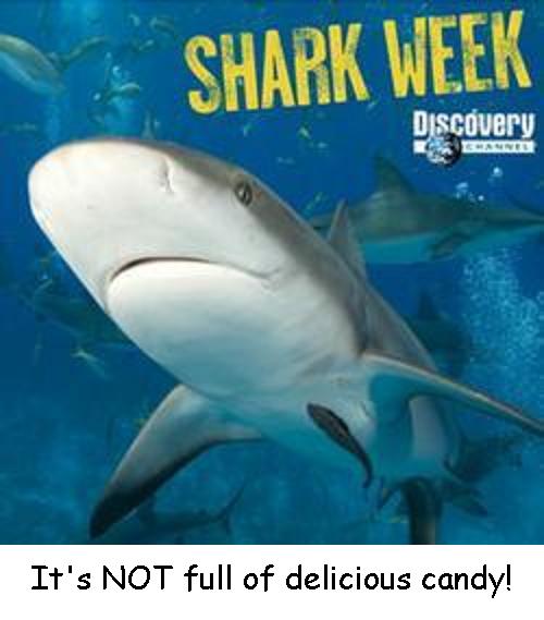 Anonymous-shark-week-photo