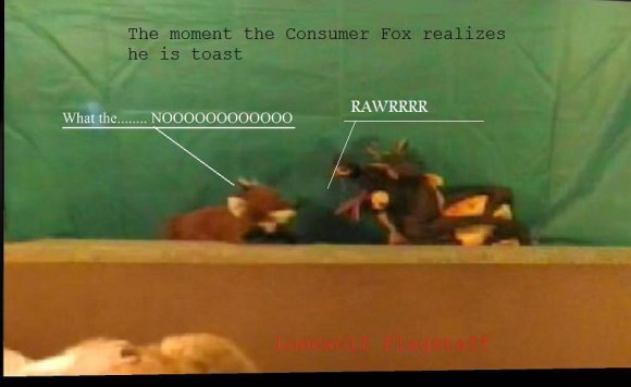 Lonewolf_Flagstaff-Oh_nooooooo