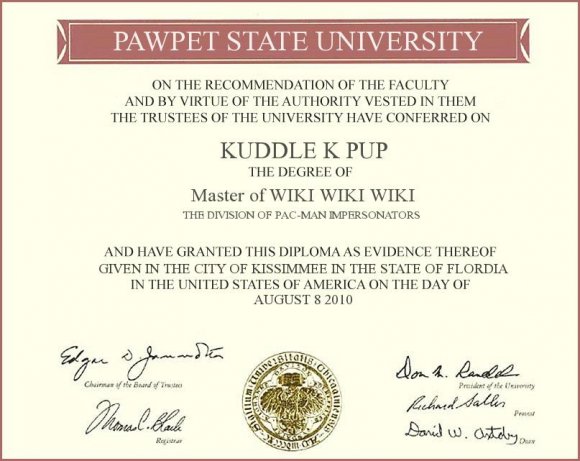 Anonymous-KP_diploma