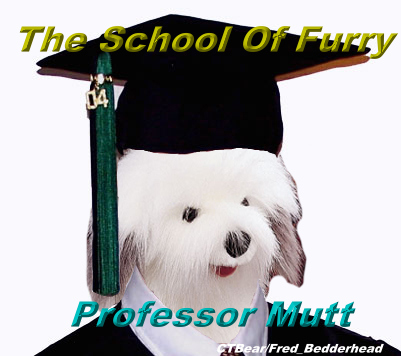 Fred_Bedderhead-School_Of_Furry