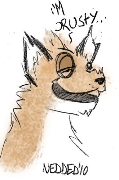 Nedded-nedded_crusty