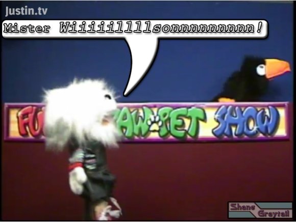 Shane_Graytail-STMenace