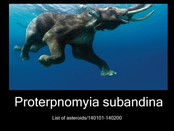 wds0000-fpsgameaug82010