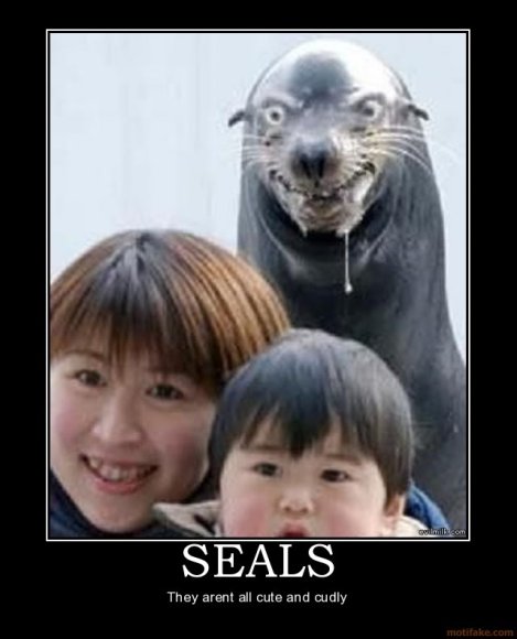 Fred_Bedderhead-seals-cute-demotivational-poster-12