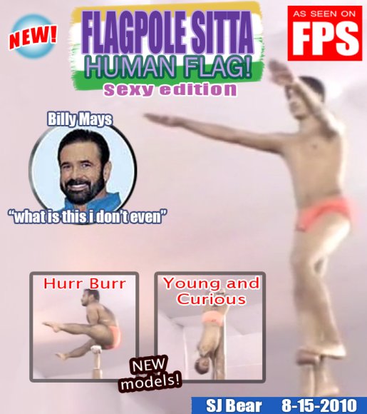 SJ_Bear-artjam2-flagpolesitta