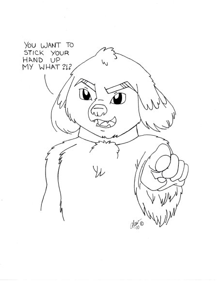 Lawrence_Correia-Pawpets3